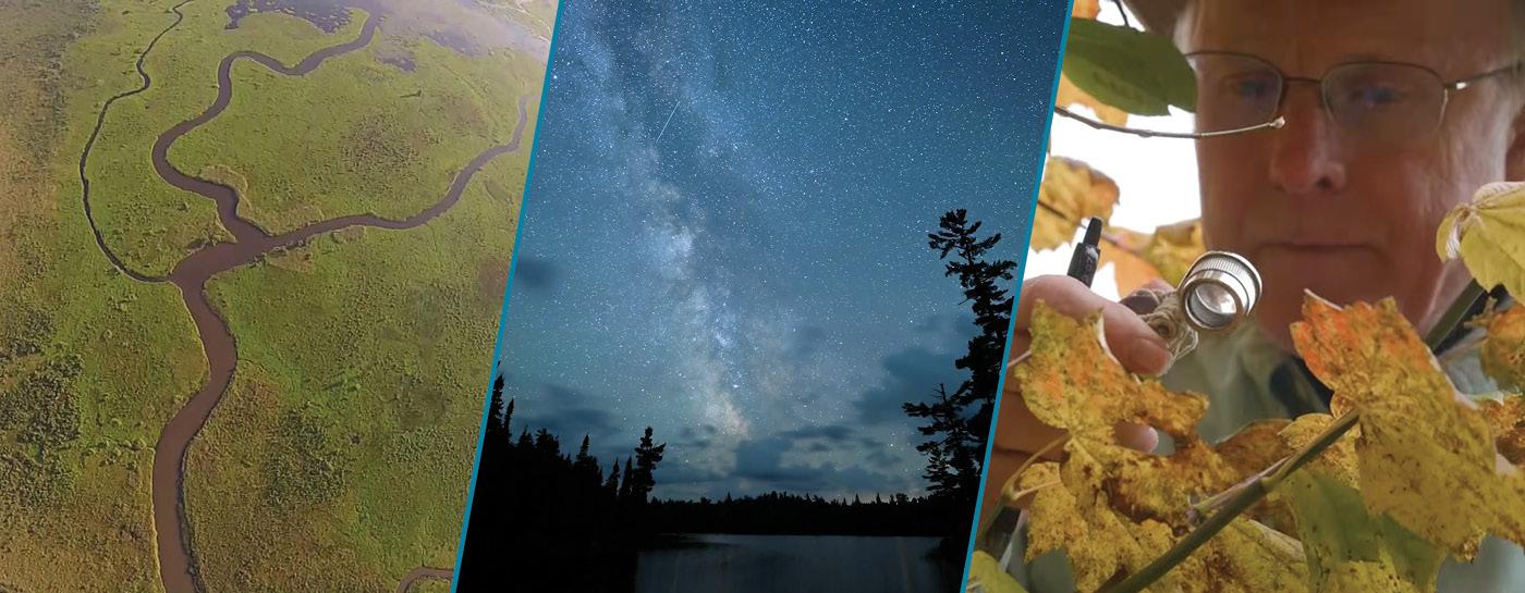 EcoSense for Living; Northern Nights, Starry Skies; The Scientist's Warning