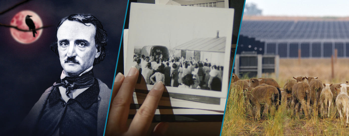 Images from April's collections shows including: In Search of Edgar Allan Poe; Snapshots of Confinement; and Save the Farm, Save the Future