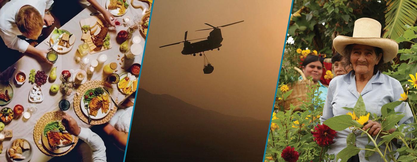 Images from featured November collections from: Tasteable's Festive Flavors; FOR COUNTRY: First In, Last Out; and GIVE LIGHT: Stories from Indigenous Midwives