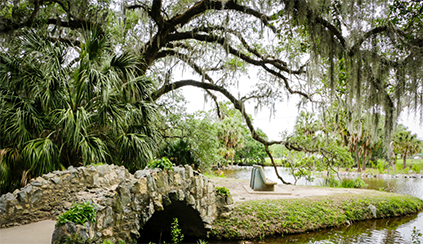 Photo of City Park in New Orleans